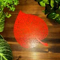 Lá Đoạn (Linden Leaf) Thiết Kế Voronoi - Thumbnail 6