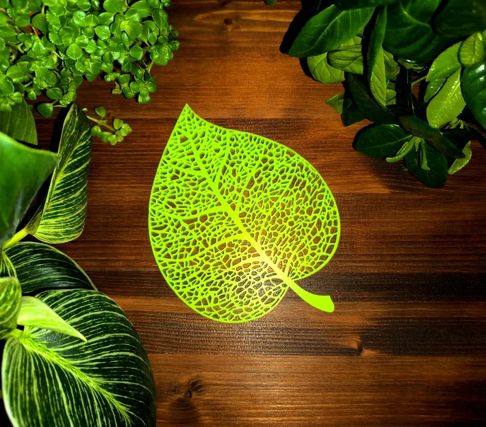 Lá Đoạn (Linden Leaf) Thiết Kế Voronoi - Image 7