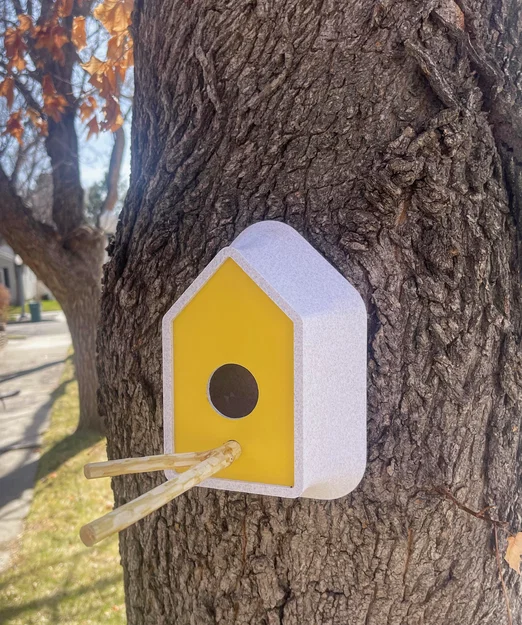 Nhà Cho Chim, Tổ Chim Hiện Đại - Image 2