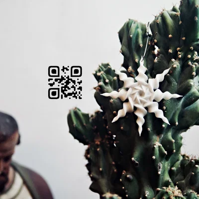 Mô hình 3D Lucky Star - Ngôi sao nghệ thuật lấy cảm hứng từ Fibonacci