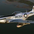 Mô hình máy bay P-51D Mustang | Tỉ lệ 1:100 - Thumbnail 4