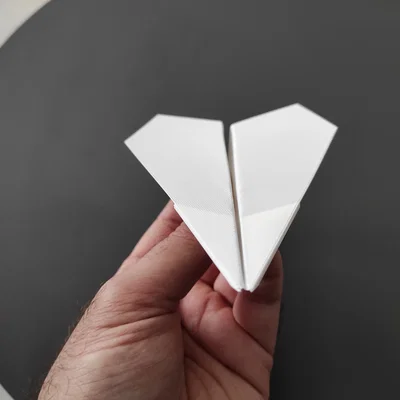Máy bay gấp in 3D (Foldable plane)