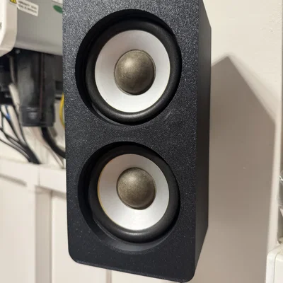 Thùng Loa Đôi (Double/Two-Way Speaker Box)