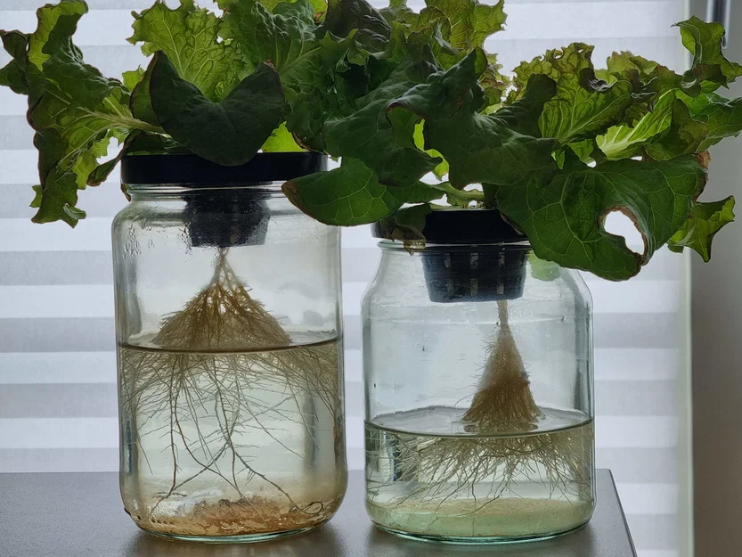 Nắp Rọ Thủy Canh Cho Hũ Thủy Tinh - Image 1