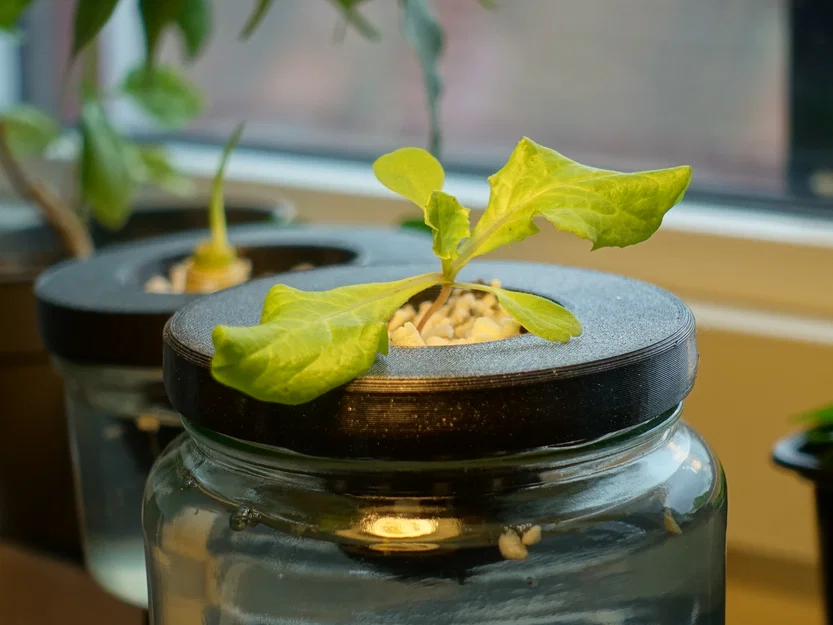 Nắp Rọ Thủy Canh Cho Hũ Thủy Tinh - Image 2