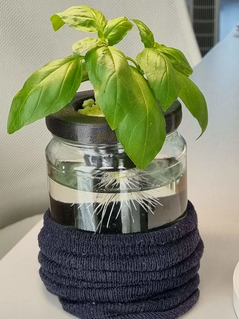 Nắp Rọ Thủy Canh Cho Hũ Thủy Tinh - Image 4