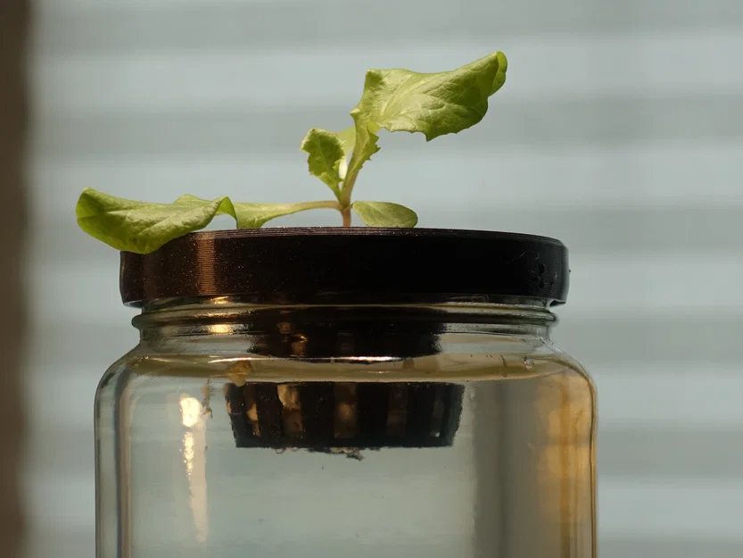 Nắp Rọ Thủy Canh Cho Hũ Thủy Tinh - Image 5