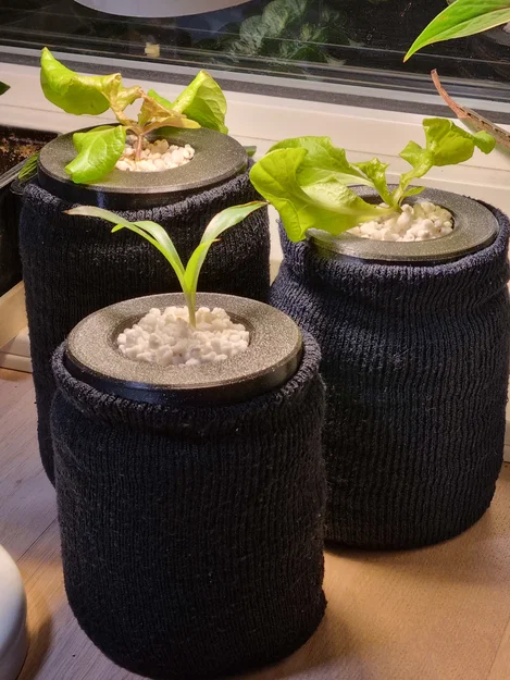 Nắp Rọ Thủy Canh Cho Hũ Thủy Tinh - Image 7