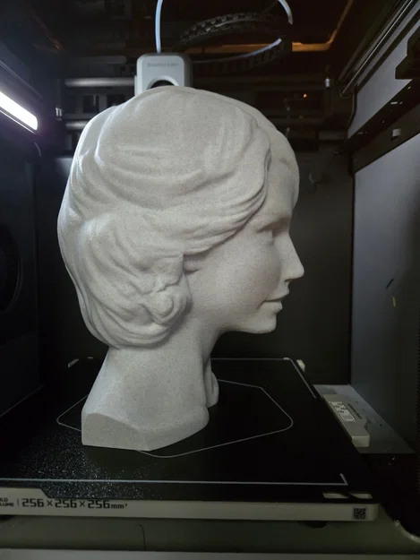 Tượng điêu khắc đầu Taylor Swift (Lần đầu thực hiện) - Image 1