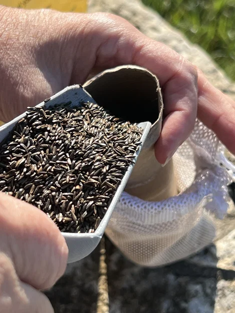 Xẻng xúc hạt giống chim (Bird Seed Scoop) - Công cụ hỗ trợ túi lưới - Image 1