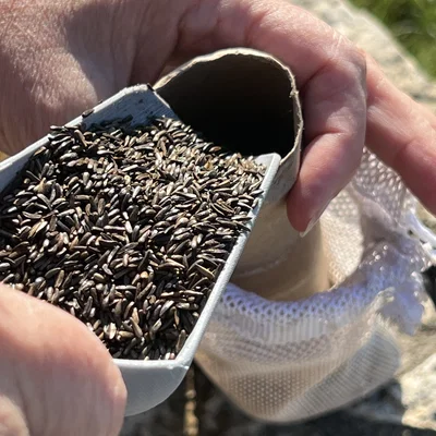 Xẻng xúc hạt giống chim (Bird Seed Scoop) - Công cụ hỗ trợ túi lưới