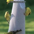 Xẻng xúc hạt giống chim (Bird Seed Scoop) - Công cụ hỗ trợ túi lưới - Thumbnail 2