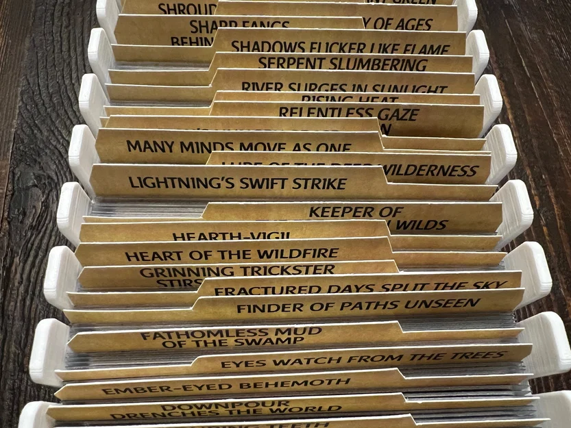 Bộ khay đựng (Insert) Spirit Island - Chứa tất cả bản mở rộng đến Nature Incarnate - Image 22