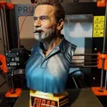 Mô hình tượng bán thân Arnold Schwarzenegger (Luke Brunner) từ FUBAR - Thumbnail 10