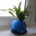 Chậu cây Oddish (Đã lấp đầy lỗ) - Thumbnail 1