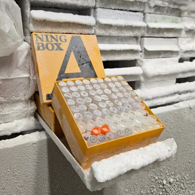 Cryobox, hộp đựng mẫu 81 ngăn (hộp trữ đông)