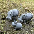 Mô hình Gia đình hà mã (Hippo family) đáng yêu - Thumbnail 5