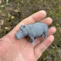 Mô hình Gia đình hà mã (Hippo family) đáng yêu - Thumbnail 6