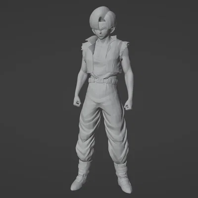Mô hình in 3D Trunks (DBZ)