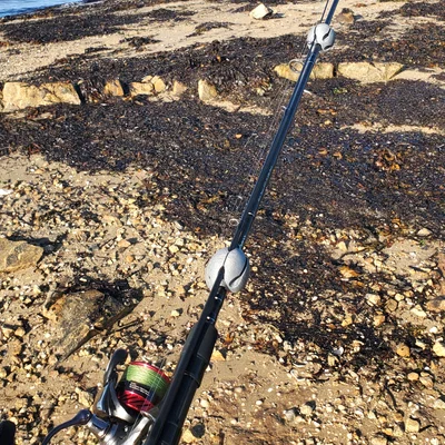 Quả cầu giữ cần câu (Fishing rod holder ball)