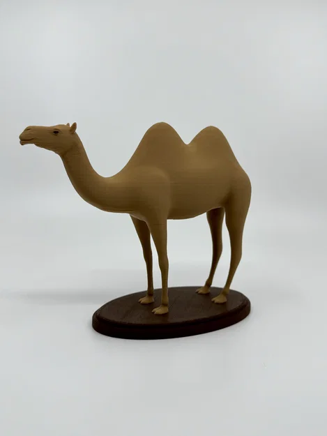 Mô hình lạc đà (Camel) trang trí và giáo dục - Image 1