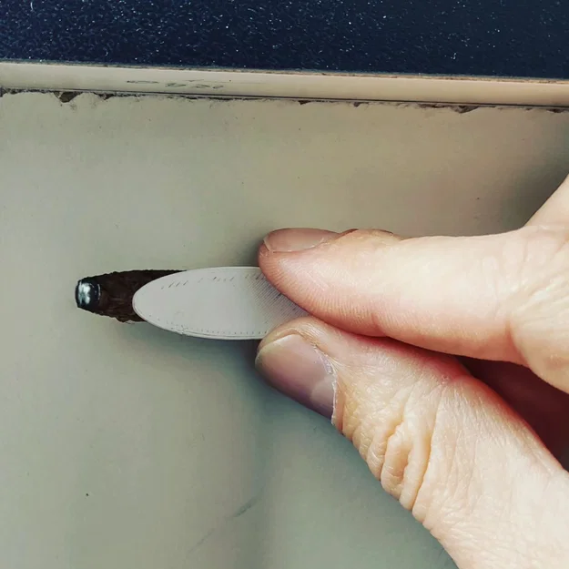 Nút che lỗ vít ẩn (Pocket Hole Plug) cho Kreg Jigs - Image 2