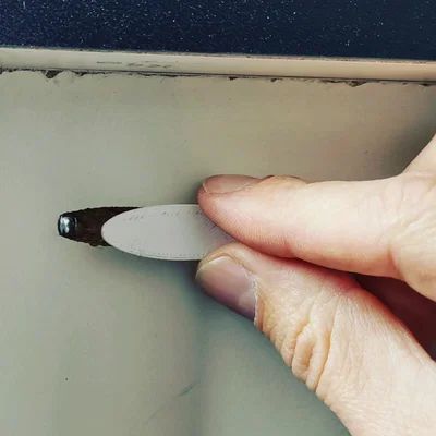 Nút che lỗ vít ẩn (Pocket Hole Plug) cho Kreg Jigs