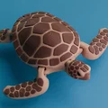Rùa biển cử động được (Articulated Sea Turtle - In đơn và đa màu) - Thumbnail 3
