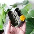 Hộp Đựng Film 120 - Phiên Bản 5 Cuộn và 3 Cuộn - Thumbnail 3