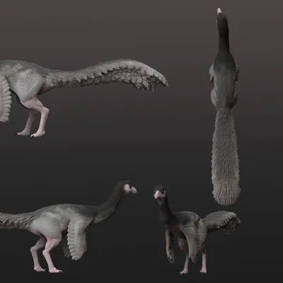 Mô hình tượng Galimimus