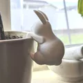 Chú Thỏ Leo Chậu Cây Trang Trí - Thumbnail 2