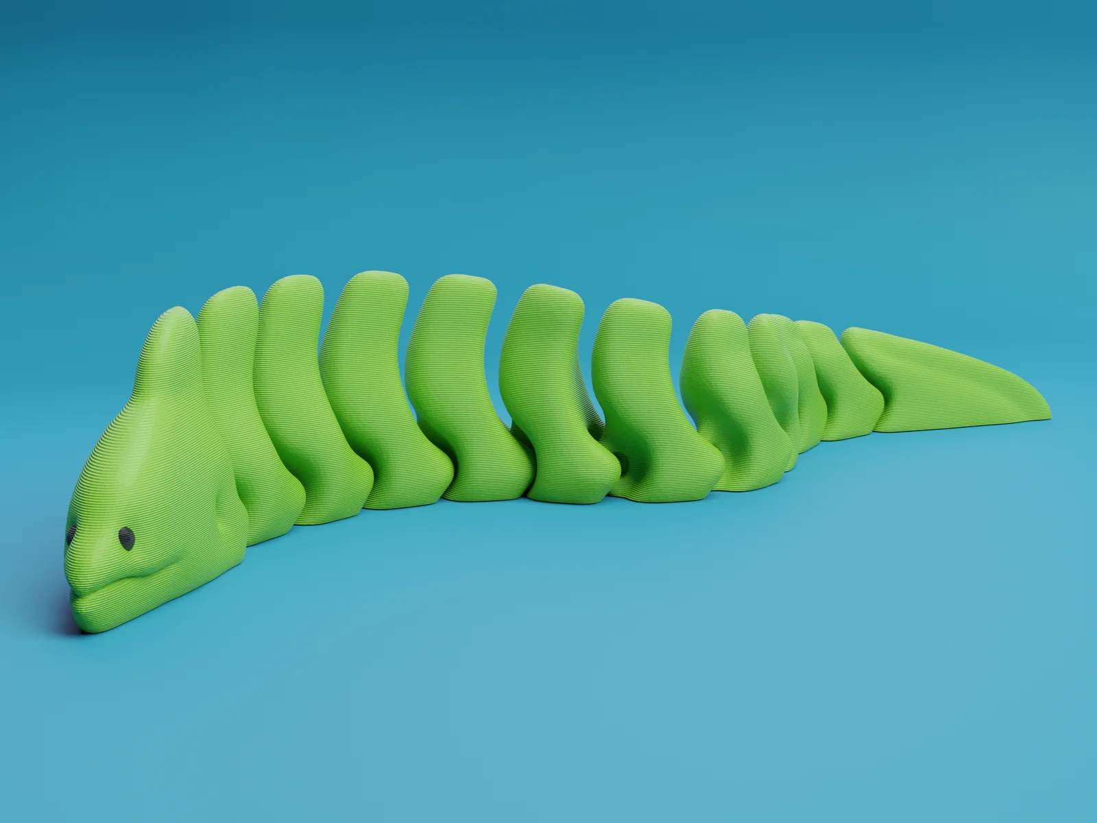 Lươn biển Moray có khớp nối (Articulated Moray Eel) 1