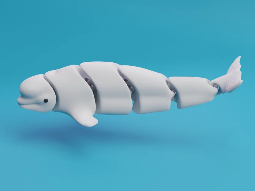 Cá voi Beluga khớp nối (Articulated Beluga whale) - Image 2