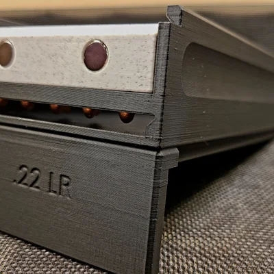 Hộp đựng đạn .22 LR