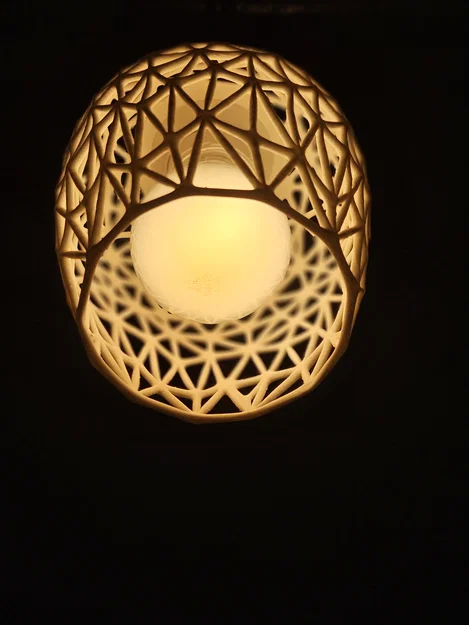 Chụp đèn (Lamp shade) - Image 2
