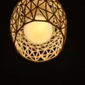 Chụp đèn (Lamp shade) - Thumbnail 2