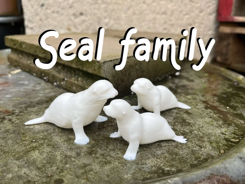 Gia đình hải cẩu (Seal family) - Image 1