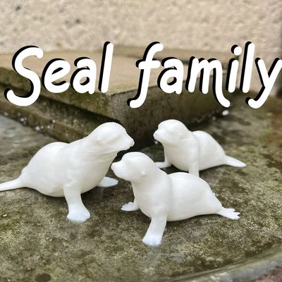 Gia đình hải cẩu (Seal family)
