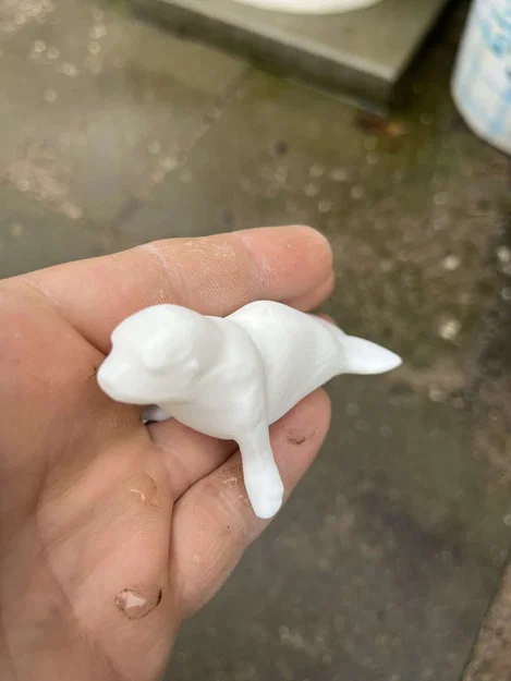 Gia đình hải cẩu (Seal family) - Image 2