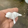 Gia đình hải cẩu (Seal family) - Thumbnail 2