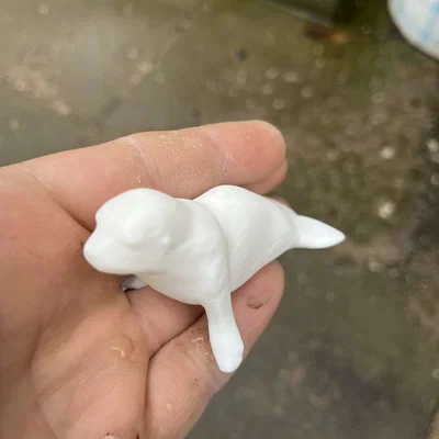 Gia đình hải cẩu (Seal family)
