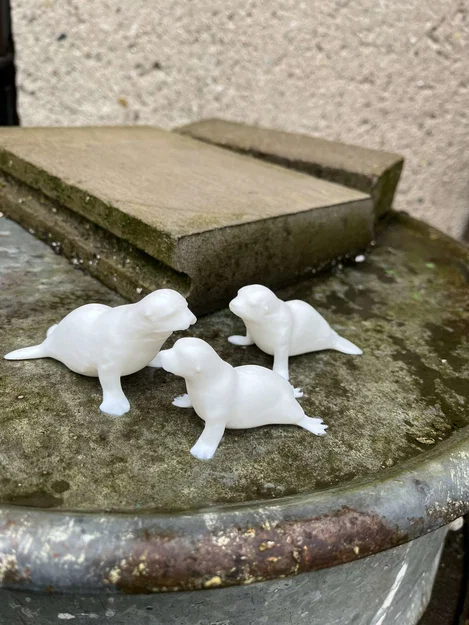 Gia đình hải cẩu (Seal family) - Image 3