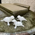 Gia đình hải cẩu (Seal family) - Thumbnail 3