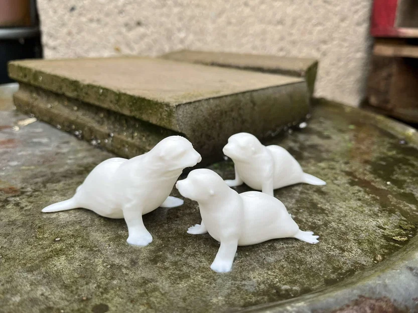 Gia đình hải cẩu (Seal family) - Image 4