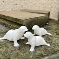 Gia đình hải cẩu (Seal family) - Thumbnail 4