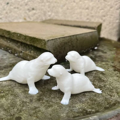 Gia đình hải cẩu (Seal family)