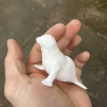 Gia đình hải cẩu (Seal family) - Thumbnail 5