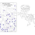 Mô hình Kit-Card Velociraptor - Thumbnail 2