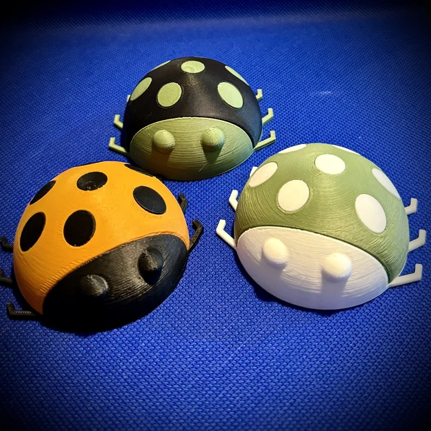 Bọ rùa (thiết kế hai mảnh để in đa màu) - Image 1