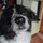 Brigue_561456